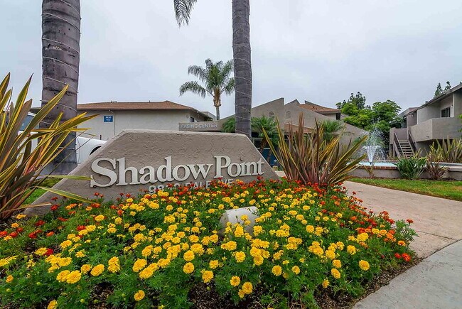 Shadow Point