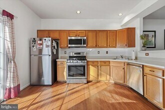 15516 Three Otters Pl in Manassas, VA - Building Photo - Building Photo