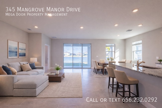 345 Mangrove Manor Dr in Apollo Beach, FL - Building Photo - Building Photo