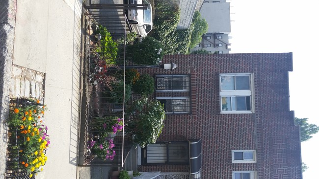 17 Lamont Ct in Brooklyn, NY - Building Photo - Building Photo