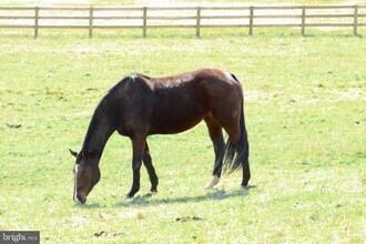739 S Main St in Oley, PA - Building Photo - Building Photo