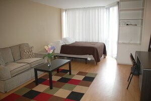21 W Goethe St in Chicago, IL - Building Photo - Building Photo
