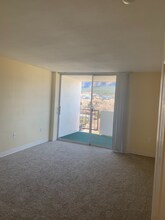 921 Green Star Dr in Colorado Springs, CO - Building Photo - Building Photo