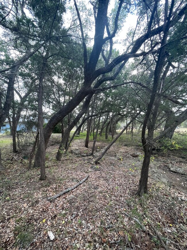 property at 541 Buck Trail