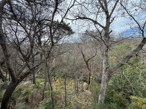 6614 Hart Ln in Austin, TX - Building Photo - Building Photo