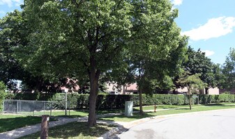 33 Tealham Dr in Toronto, ON - Building Photo