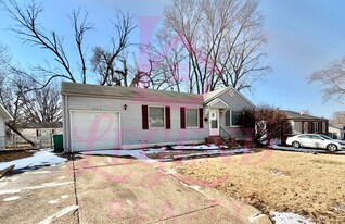 10215 Tappan Dr in St. Louis, MO - Building Photo