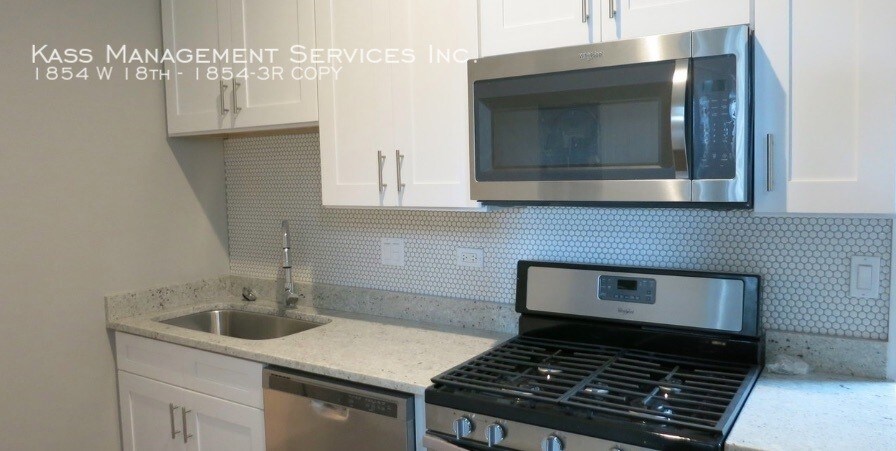 1854 W 18th St-Unit -1854-3R COPY in Chicago, IL - Building Photo