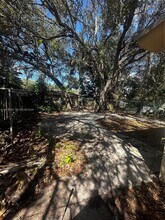 237 NW 55th St in Miami, FL - Foto de edificio - Building Photo