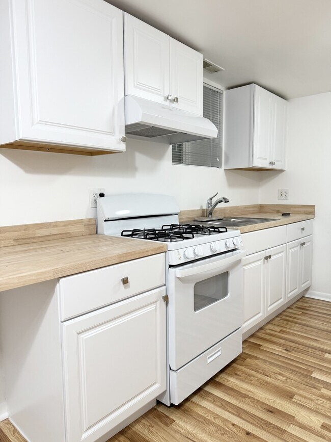 921 S Bishop St in Chicago, IL - Building Photo - Building Photo