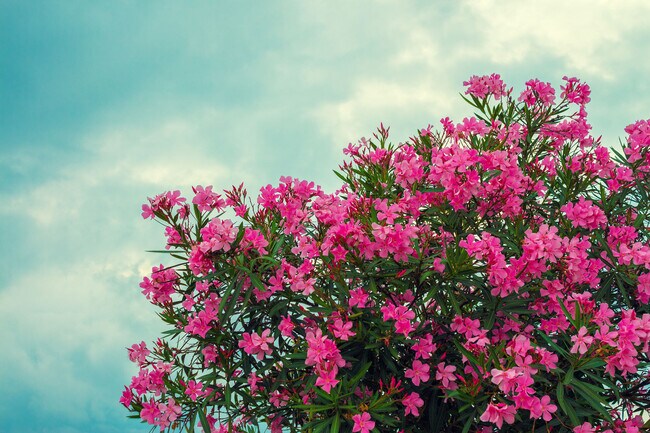 3838 Gibraltar Avenue in Los Angeles, CA - Building Photo - Building Photo