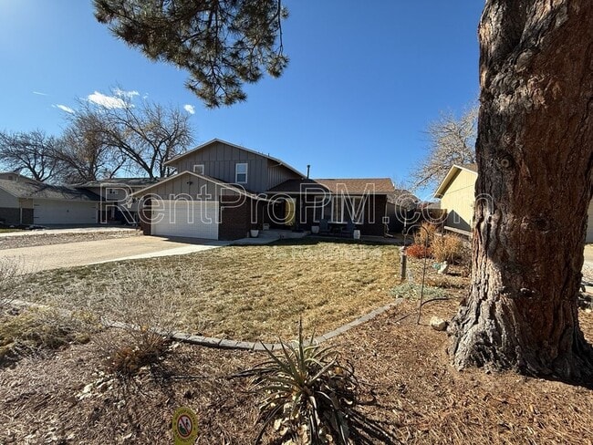 1013 Timber Ln in Fort Collins, CO - Building Photo - Building Photo