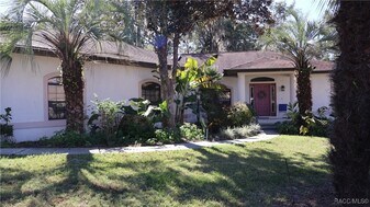 3150 E Sweet Meadow Ct in Hernando, FL - Building Photo
