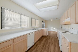 15838 Secret Trails in San Antonio, TX - Building Photo - Building Photo