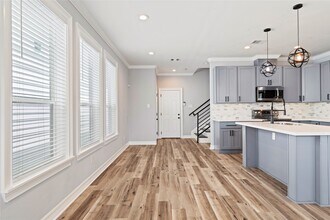 1028 Melneeka Ln in Houston, TX - Building Photo - Building Photo