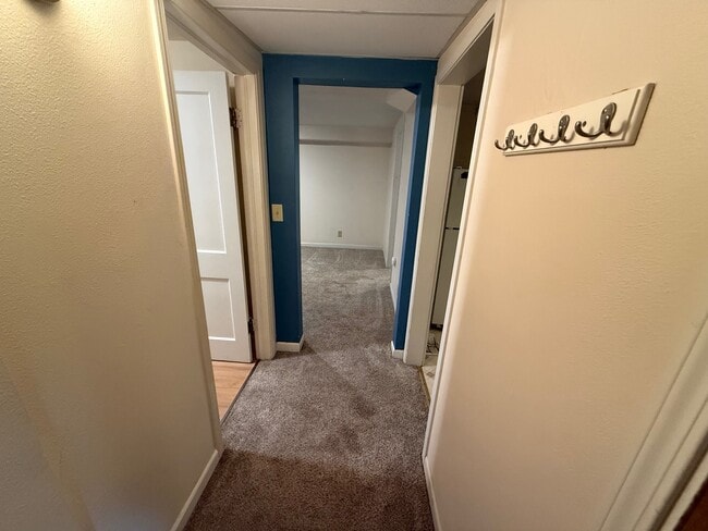 809 S 7th Ave in Bozeman, MT - Building Photo - Building Photo