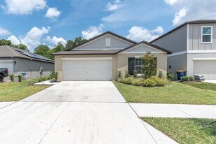 10155 Gentle Rain Dr in Land O Lakes, FL - Building Photo