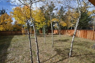 230 Pine Dr in Fairplay, CO - Building Photo - Building Photo