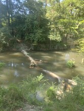 357 Holly Ln in Kentwood, LA - Foto de edificio - Building Photo