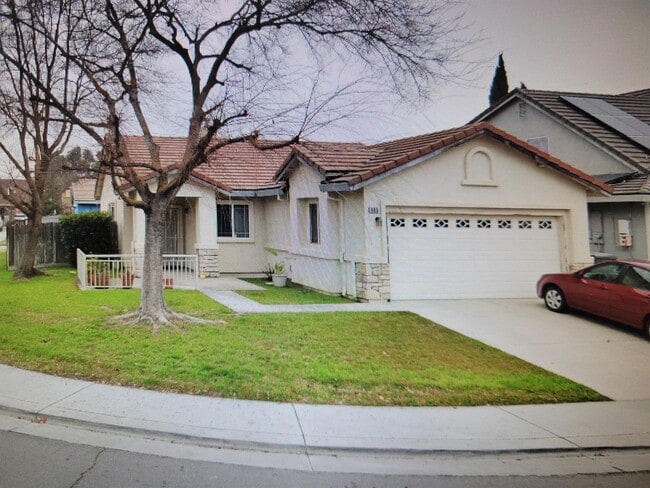 965 Lusk Dr in Woodland, CA - Building Photo - Building Photo