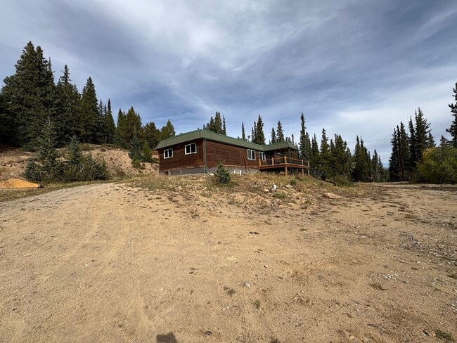 491 Valley of the Sun Dr in Fairplay, CO - Building Photo - Building Photo