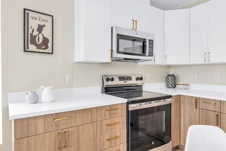 356 Cummins Hwy, Unit 402 in Boston, MA - Building Photo - Building Photo