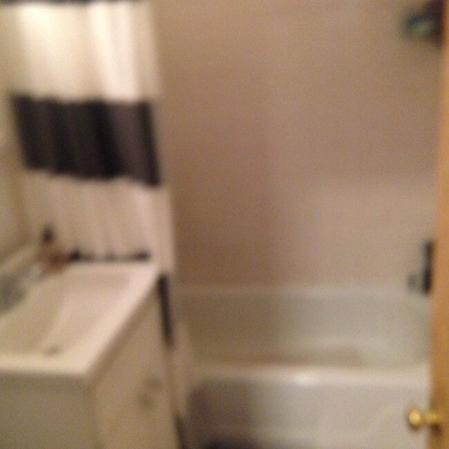 110 Huntington Ave, Unit 202 photo'