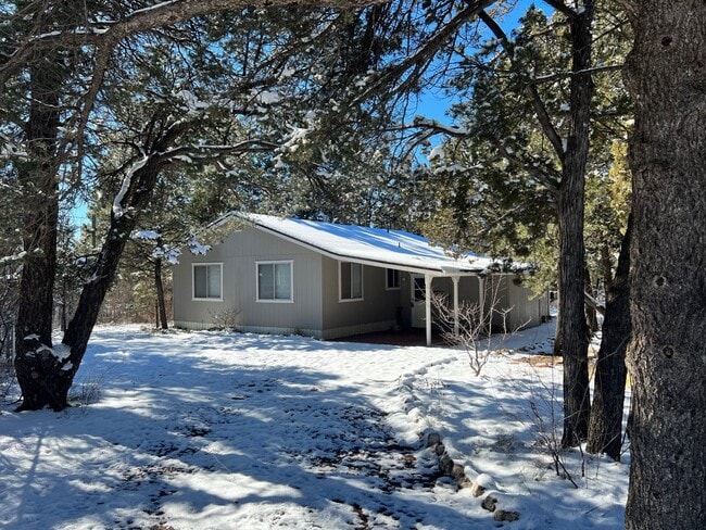 3314 Little Pine Dr in Overgaard, AZ - Building Photo - Building Photo