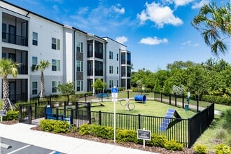 Mira at Palmer Ranch in Sarasota, FL - Building Photo - Building Photo