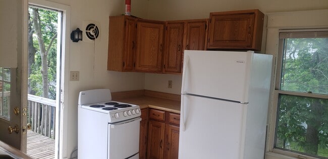 307 N Chestnut St in Lansing, MI - Building Photo - Building Photo