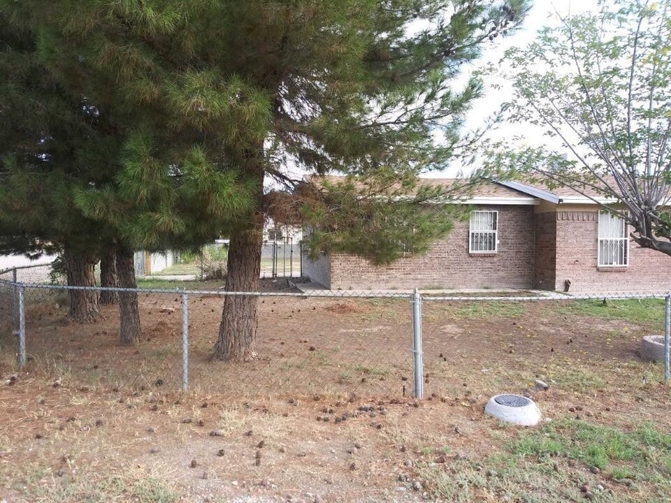 643 Tortola Ave in San Elizario, TX - Building Photo