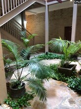 619 King St in Columbia, SC - Building Photo - Building Photo