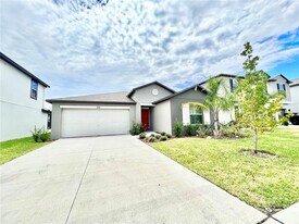 8769 Parsons Hill Blvd in Zephyrhills, FL - Building Photo
