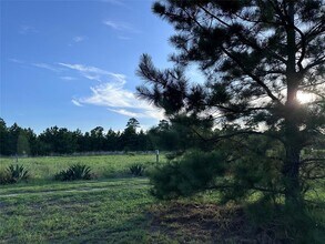 214 Pine Path in Bastrop, TX - Building Photo - Building Photo