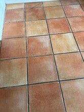 11309 Stratton Park Dr in Temple Terrace, FL - Building Photo - Building Photo