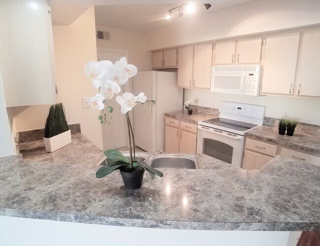 12500 Crest Springs Ln in Orlando, FL - Building Photo - Building Photo