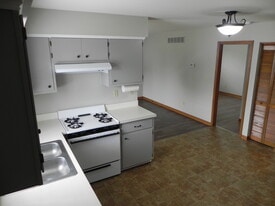 1353 Lakeview Ave in Rockdale, IL - Building Photo