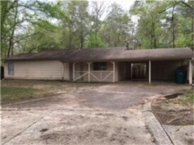1108 E Red Cedar Cir in Spring, TX - Building Photo