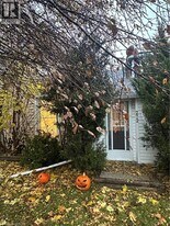 272 Main St in Cambridge, ON - Building Photo