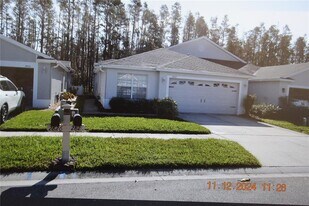 2822 Tanglewylde Dr in Land O Lakes, FL - Building Photo