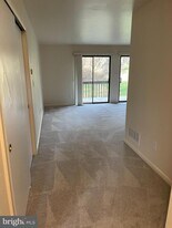 105 Foxfire Dr in Newark, DE - Building Photo