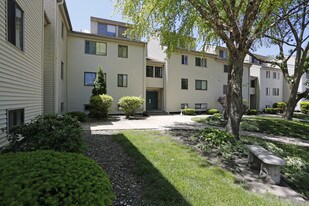 Colony West in Champaign, IL - Building Photo