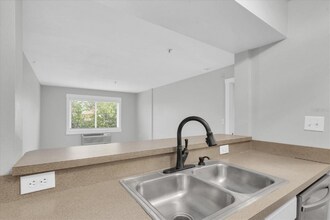 406 S Cedar Ave, Unit 403 in Tampa, FL - Building Photo - Building Photo