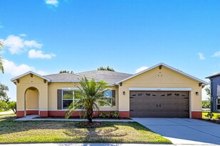 5007 Jeweled Cone Pl in Apollo Beach, FL - Building Photo