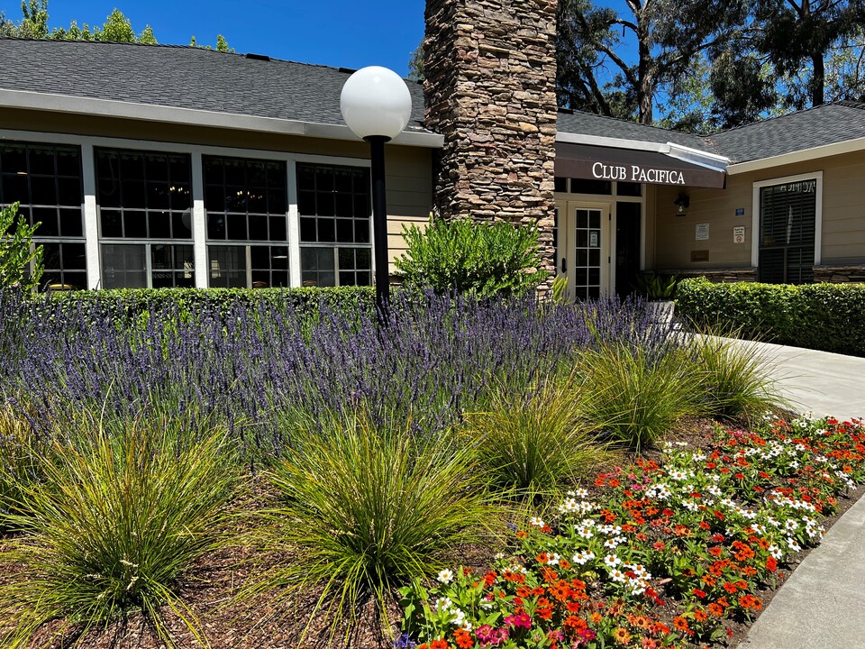 Club Pacifica in Benicia, CA - Foto de edificio