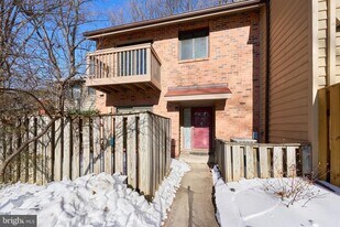 1904 Winterport Cluster in Reston, VA - Building Photo