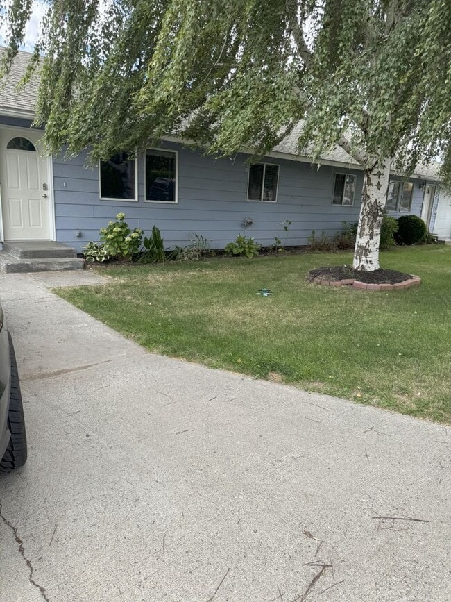 property at 217 Jason Ave