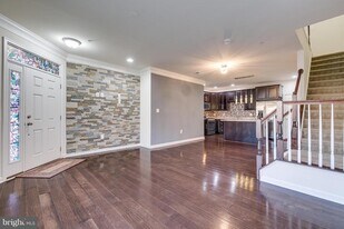 23502 Belvoir Woods Terrace in Ashburn, VA - Building Photo