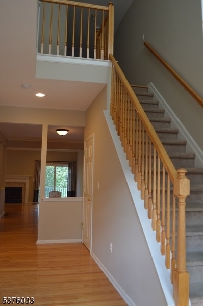 51 Autumn Ridge Rd in Morris Plains, NJ - Building Photo - Building Photo
