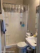 1744 W 18th Pl in Chicago, IL - Building Photo - Building Photo